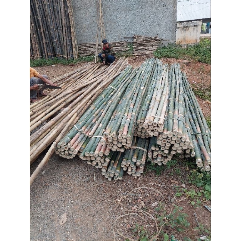 Jual Bambu Tiang Bendera 4 Meter Shopee Indonesia 8762