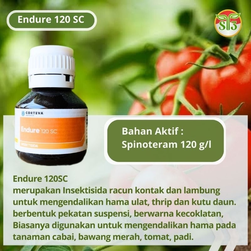 Jual Insektisida Kontak | Endure 120 SC 50 ml | Toko Obat Pertanian