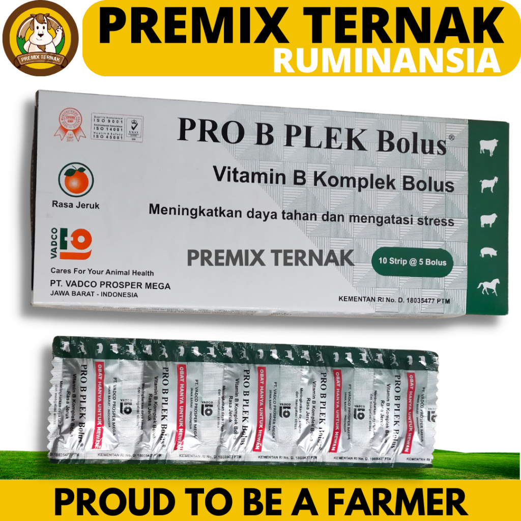 Jual PRO B PLEK BOLUS 1 BOX (50 BOLUS) Vitamin B kompleks Hewan Sapi
