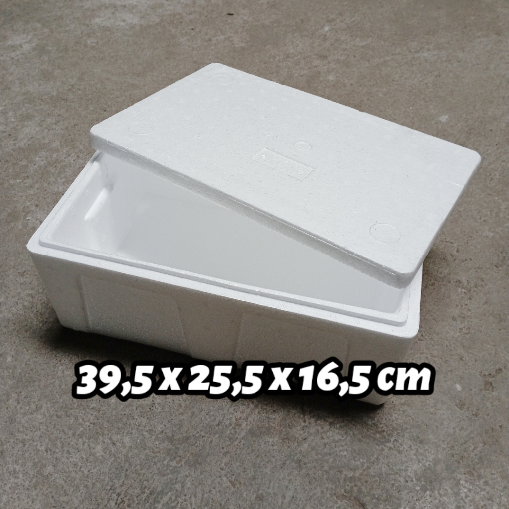 Jual BOX 5 KG INSTANT ONLY Styrofoam Box Wadah Ikan Penyimpanan