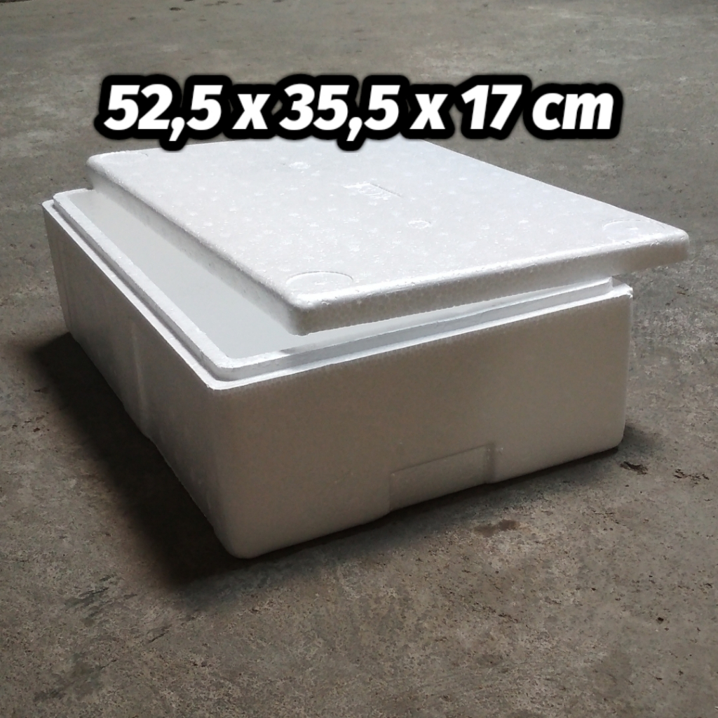 Jual BOX 10 KG INSTANT ONLY Styrofoam Box Wadah Ikan Penyimpanan
