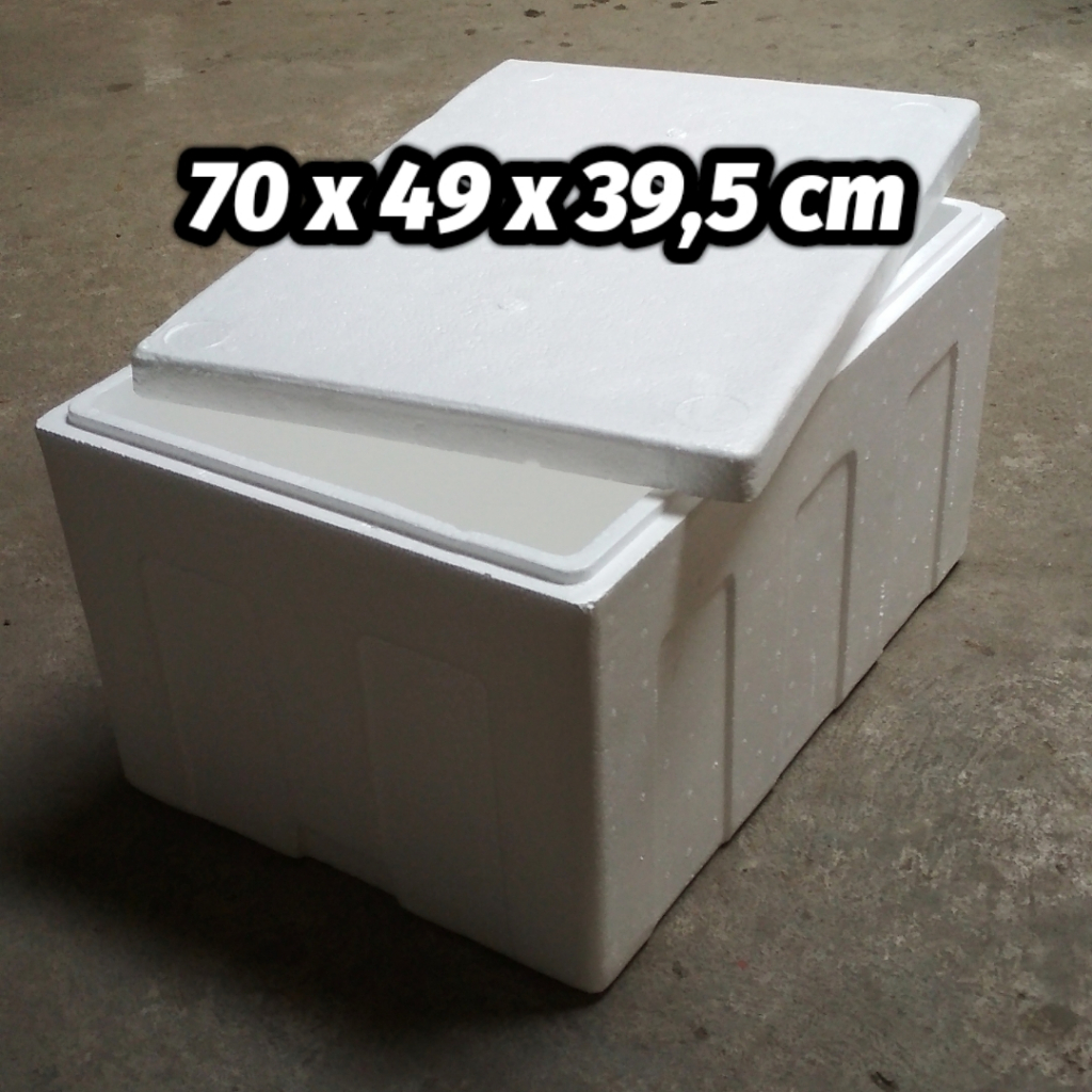 Jual BOX 60 KG INSTANT ONLY Styrofoam Box Wadah Ikan Penyimpanan