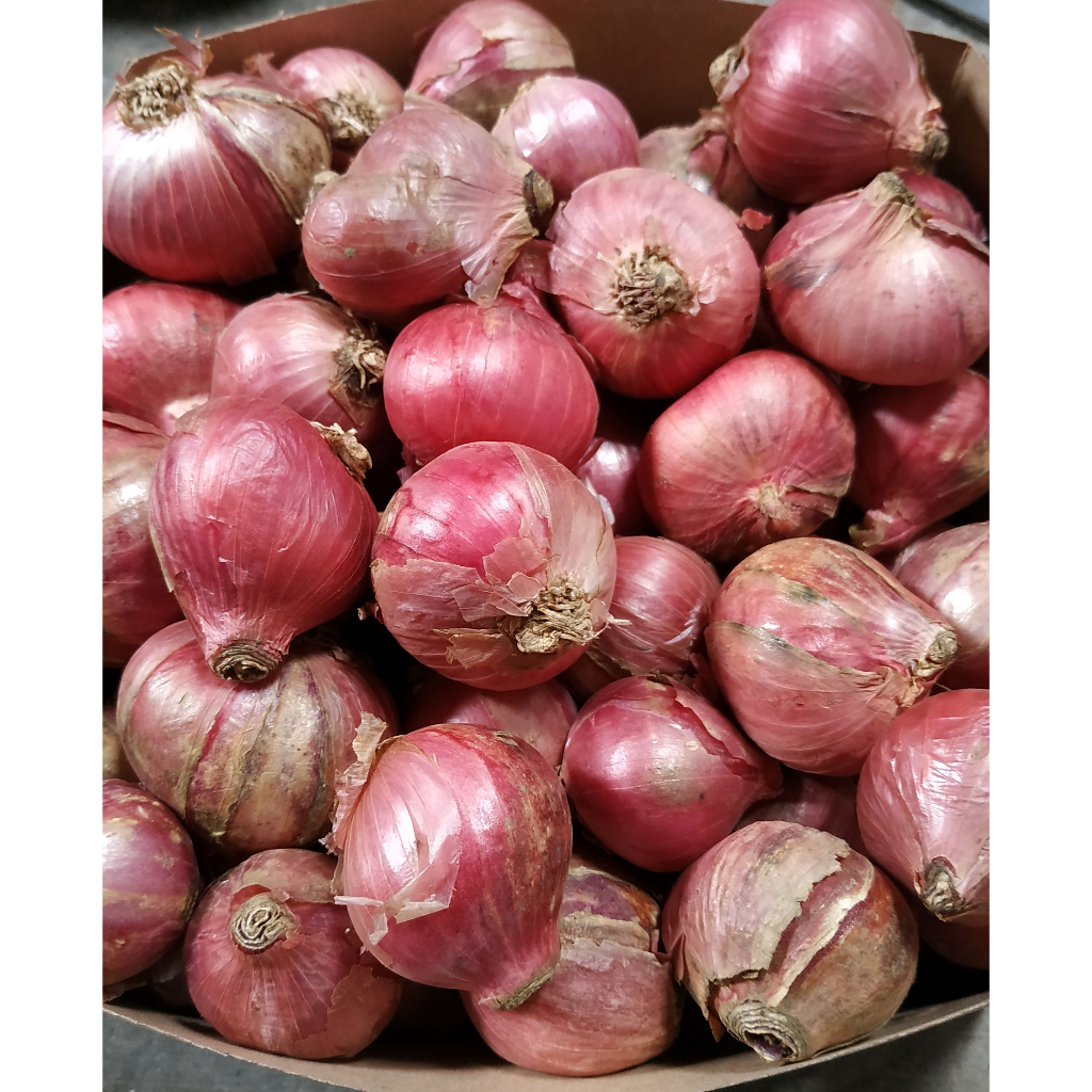 Jual Bawang Merah 1kg Besar Lokal Brambang Super Shopee Indonesia