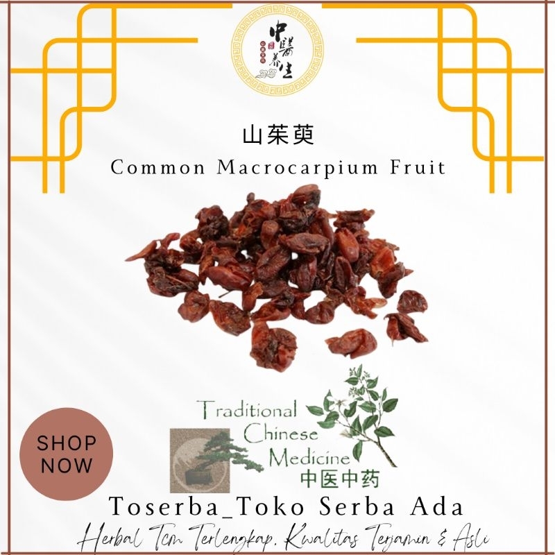 Jual 100gr Herbal Shan Zhu Yu / Shan Zhu Rou Cornus Officinalis ...