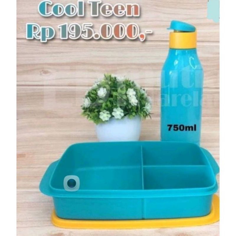 Jual Tupperware Cool Teen Wadah Bekal Makan Set Biru Kapasitas Botol