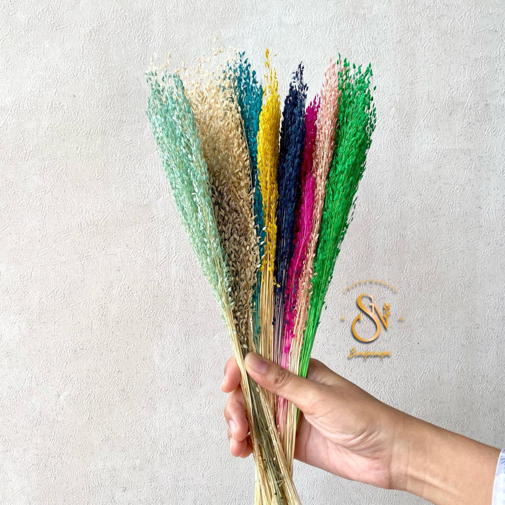 Jual Sprinkle Grass Bunch I Bunga kering rumput sprinkel dried flowers
