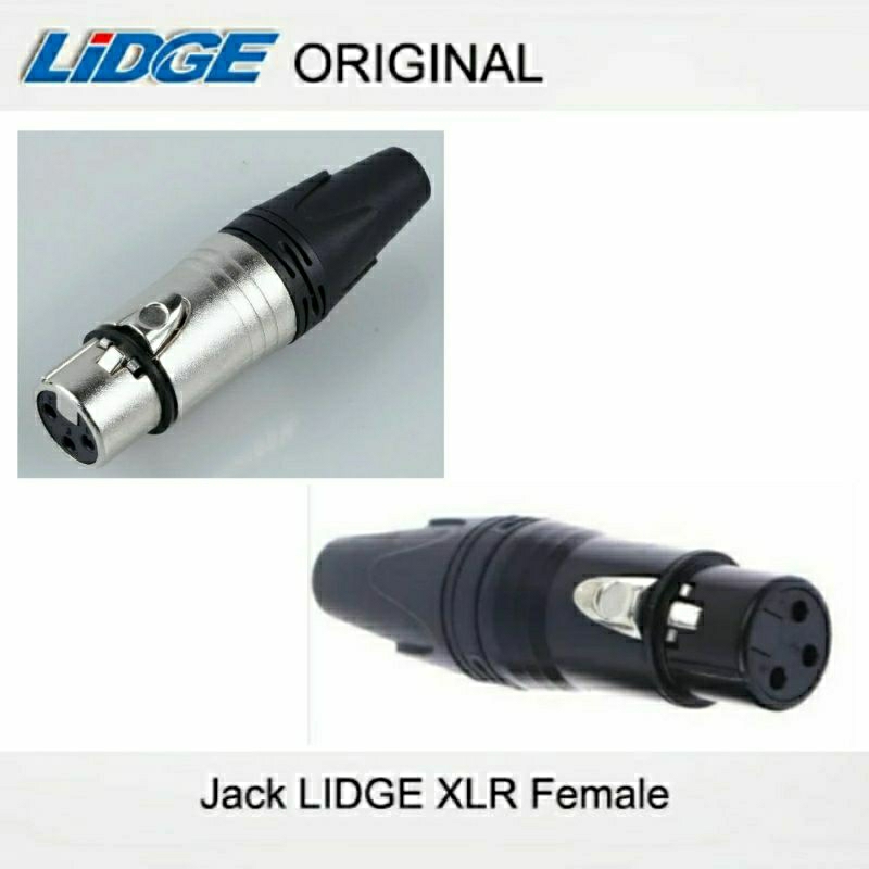 Jual Jack Canon Cewek LIDGE XLR Female | Shopee Indonesia