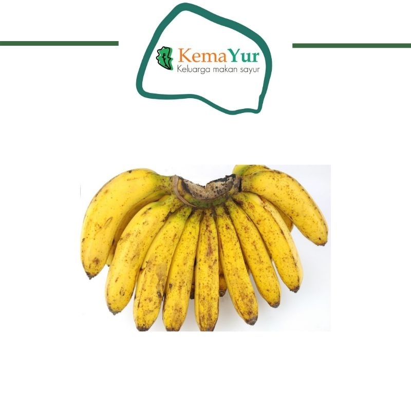 Jual PISANG RAJA 1 SISIR | Shopee Indonesia