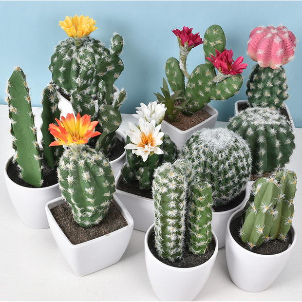 Jual Sukulen Kaktus Plastik Artificial Cactus Tanaman Pohon Kaktus Mini |  Shopee Indonesia