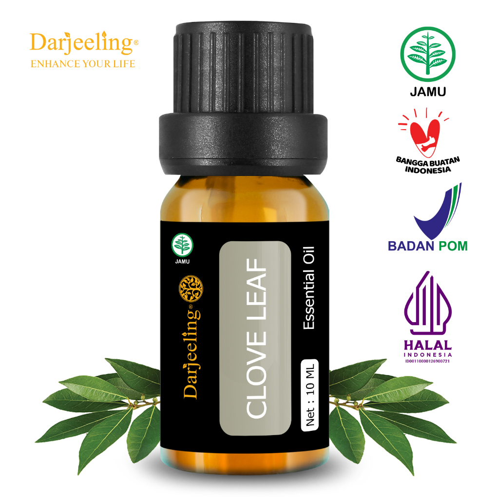 Jual Darjeeling Clove Leaf Essential Oil / Minyak Daun Cengkeh ...