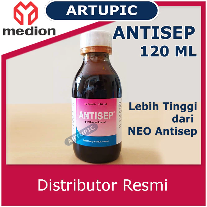 Antisep 120 ml