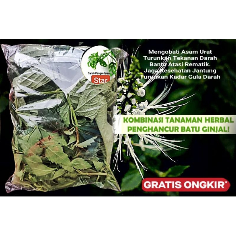 Jual Paket Penghancur Batu Ginjal Ampuh - Kumis Kucing Dengan Keji