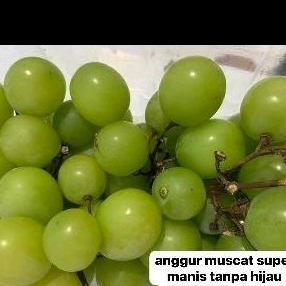 Jual Anggur Hijau Shine Muscat 1 Kg | Shopee Indonesia