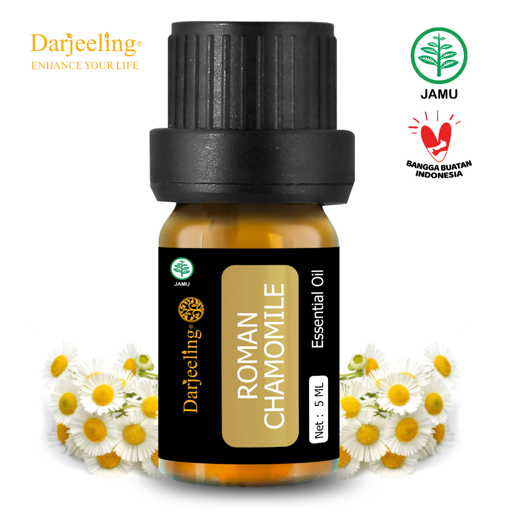 Jual Darjeeling Roman Chamomile Essential Oil / Minyak Roman Chamomile ...