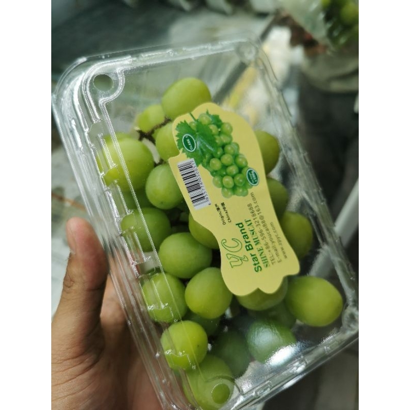 Jual ANGGUR SHINE MUSCAT PACK | Shopee Indonesia