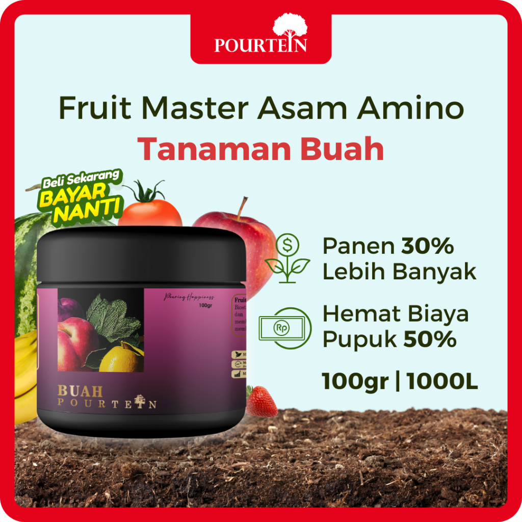 cara menanam strawberry