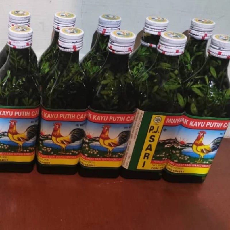 Jual MINYAK KAYU PUTIH RENDAMAN DAUN CAO CAO /INGGU 150ML | Shopee ...