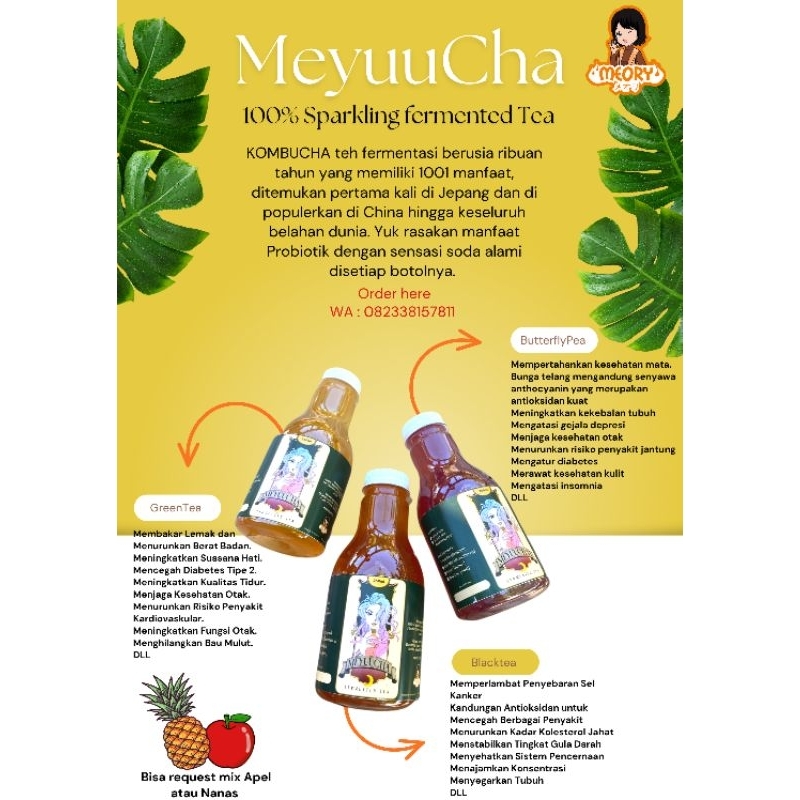 Jual Kombucha Meyuucha Teh Hijau Fermentasi Scoby Original Greentea Botol 250ml Shopee Indonesia 1809