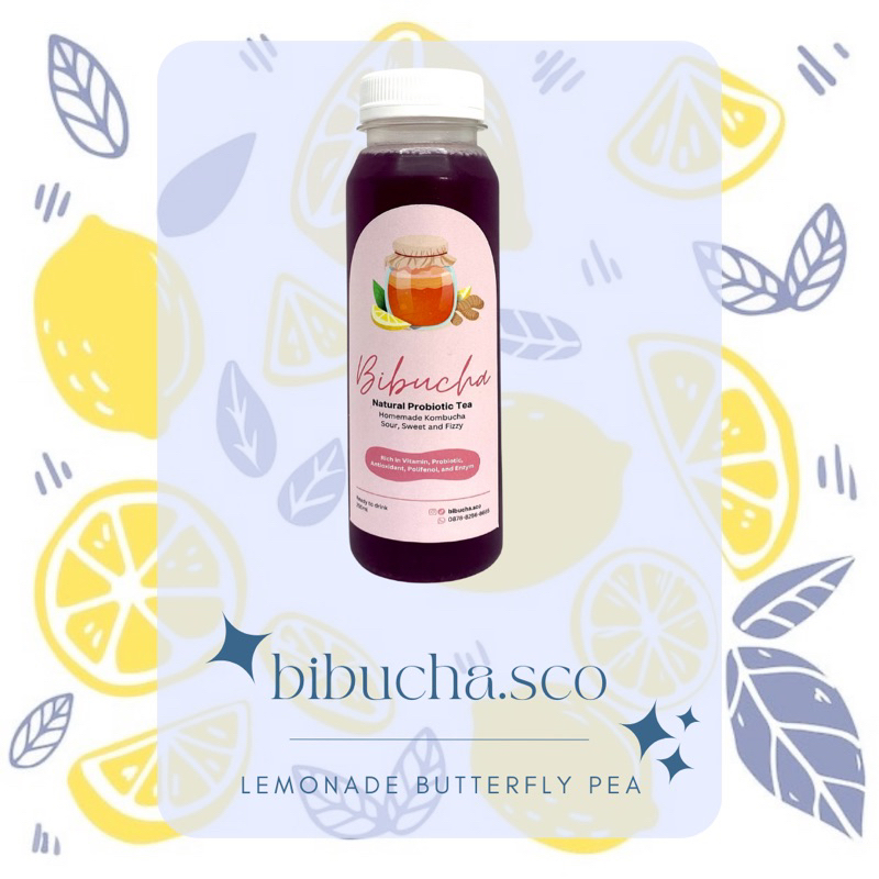 Jual Kombucha Butterfly Pea Lemonade by Bibucha.sco 250 ml Shopee
