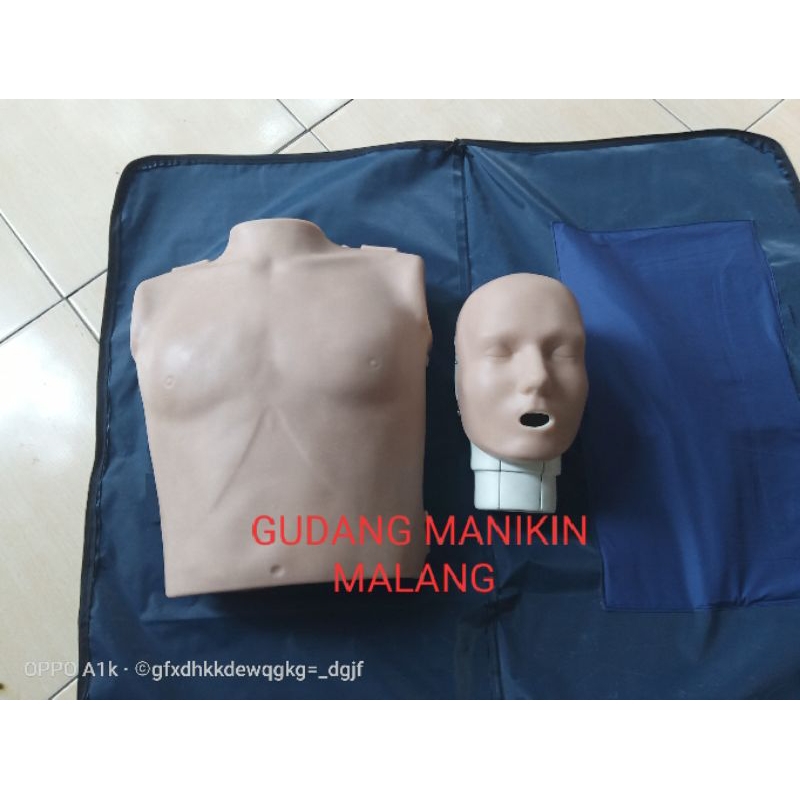 Jual Manikin Prestan Cpr Phantom Cpr Manikin Bhd Prestan Cpr Manikin