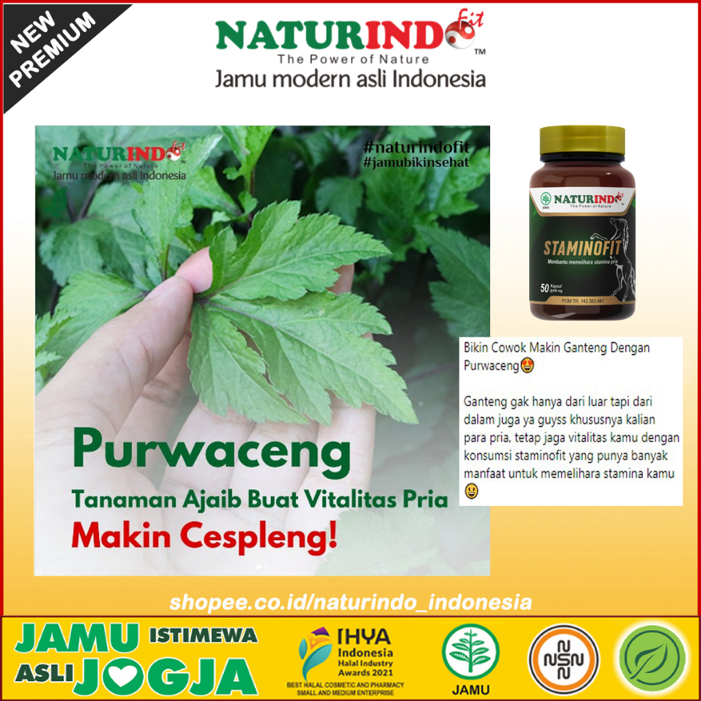 Jual Obat Herbal Sirkulasi Darah Lancar Naturindo | Shopee Indonesia