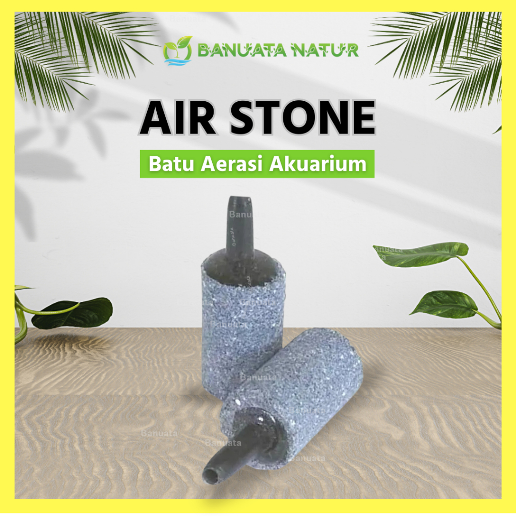 Jual Batu Aerator / Air Stone - Batu Gelembung Udara - Akuarium ...