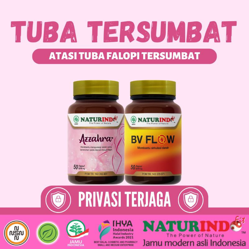 Jual Obat Tuba Falopi Tersumbat Penyumbatan Saluran Tuba Fallopi