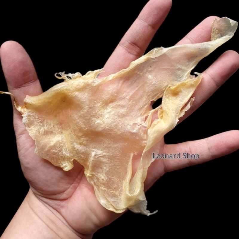 Jual HIPIO KAKAP MERAH KERING BESAR SUPER BIASA DIPAKAI DI RESTORAN ...