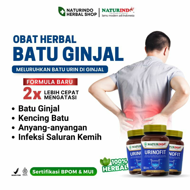 Jual Obat Batu Ginjal Herbal Kencing Batu Susah Pipis Infeksi Saluran ...