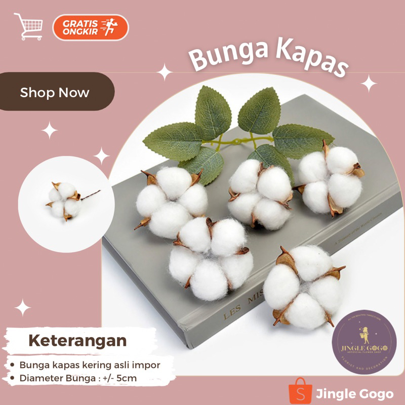 Jual Bunga Kapas Kering / Kepala Cotton Flower / Kuntum Bunga Hias ...