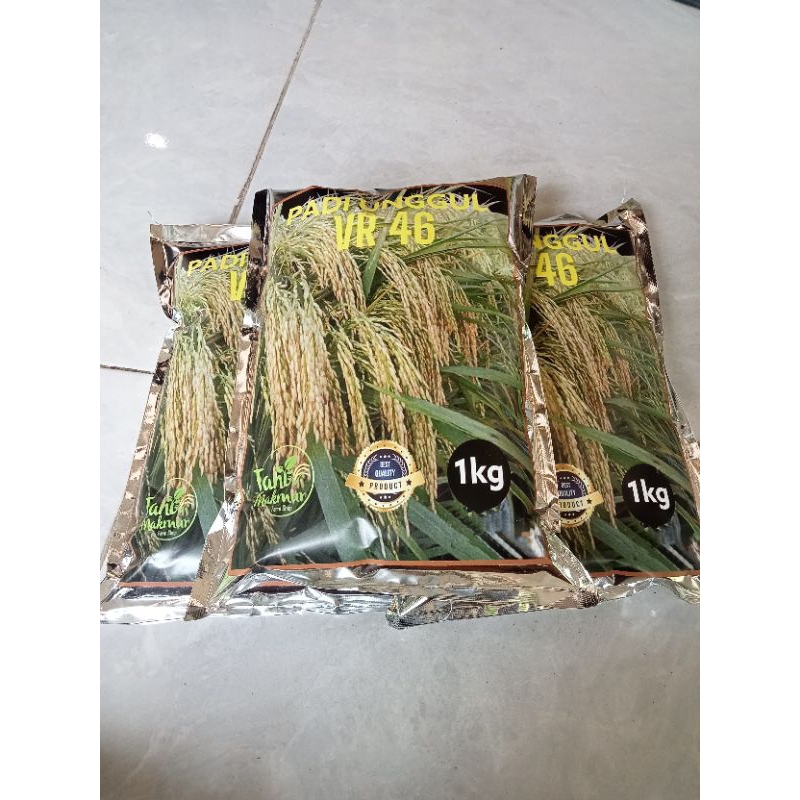 Jual benih padi VR 46 veloz rice 46 1kg | Shopee Indonesia