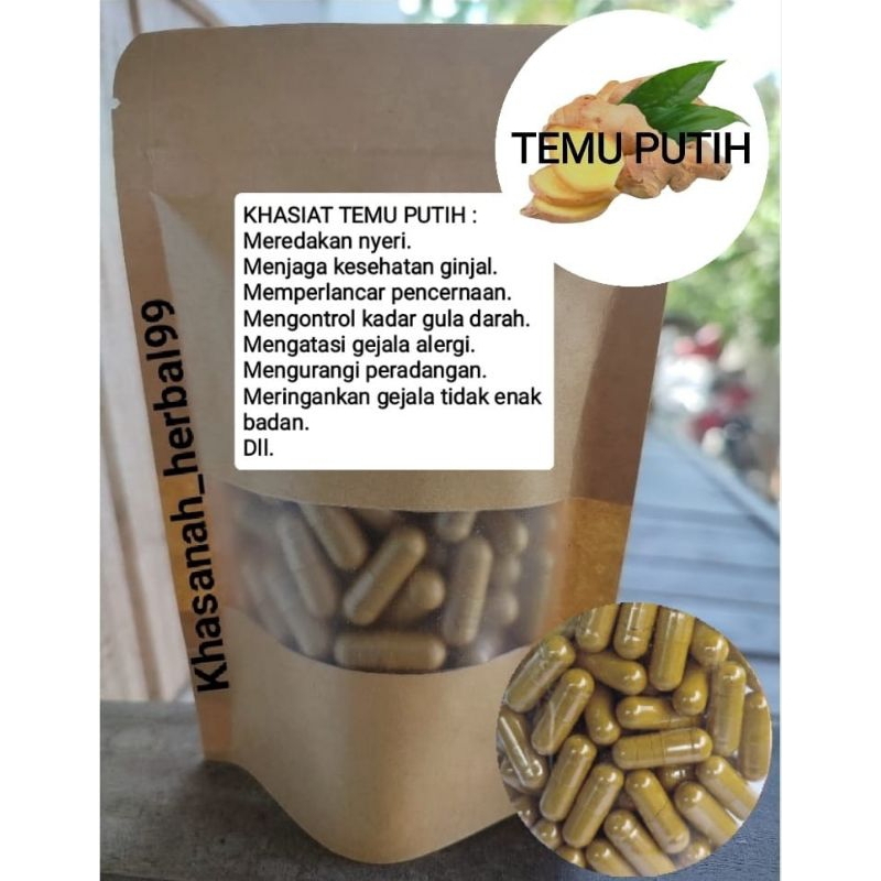 Jual Temu Putih isi 100 kapsul untuk lambung dan sembelit | Shopee ...