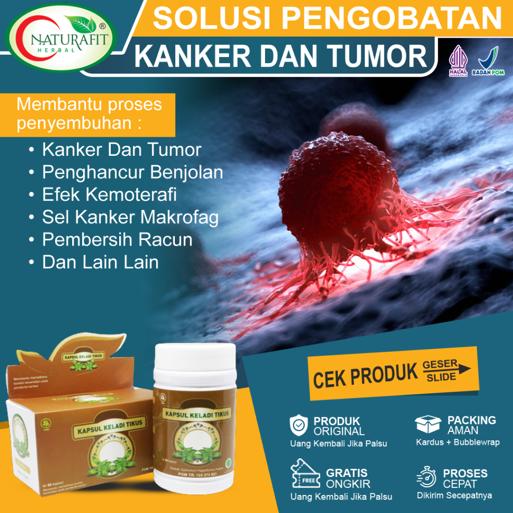 Obat Kanker Tumor Stadium 1 2 3 4 Penghilang Benjolan Paling Ampuh - Kapsul Keladi Tikus Naturafit