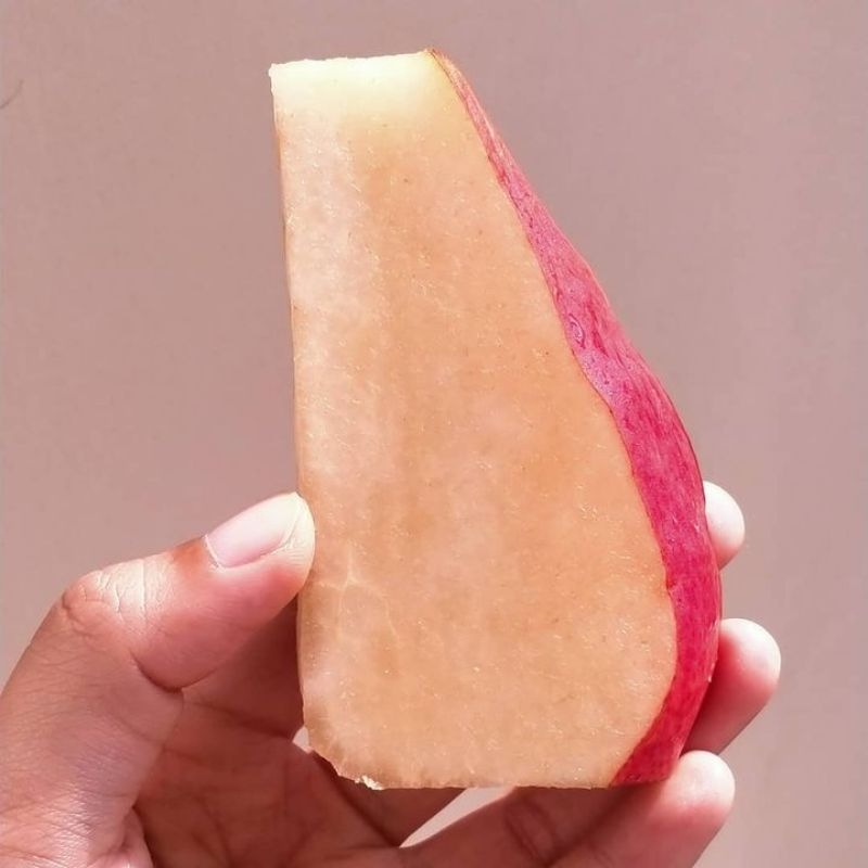 Jual Pear Red Angel 1 Kg | Pear Red Anjou 1 Kg | Shopee Indonesia