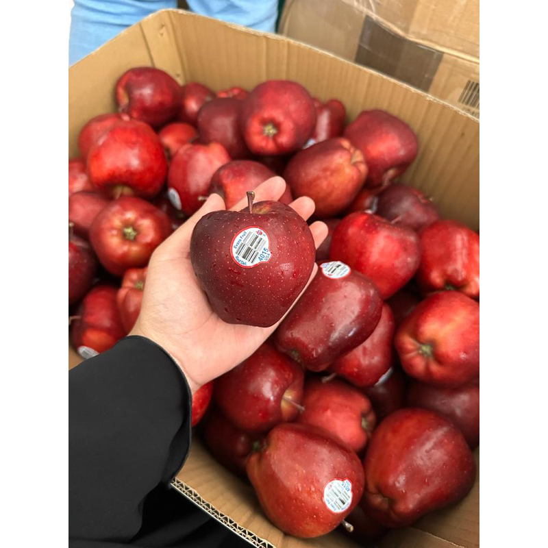 Jual apel merah usa 1kg | Shopee Indonesia
