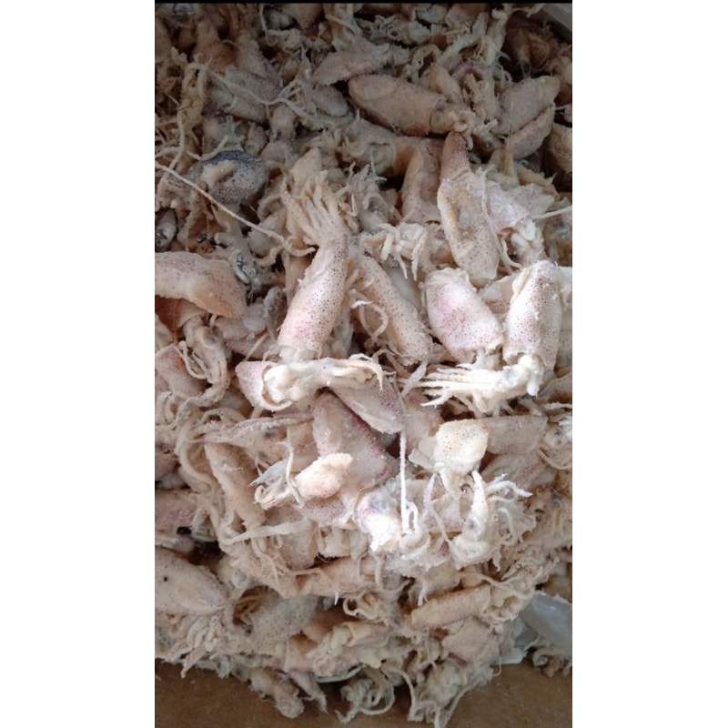 Jual baby cumi 1kg | Shopee Indonesia