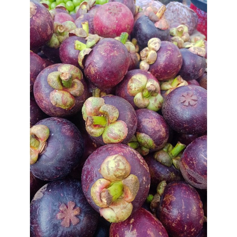 Jual Buah Manggis 1kg Shopee Indonesia