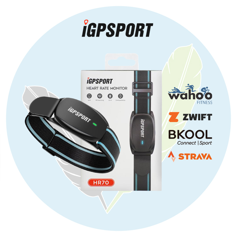 Jual iGPSport HR70 Heart Rate Sensor (Arm Band) Shopee Indonesia