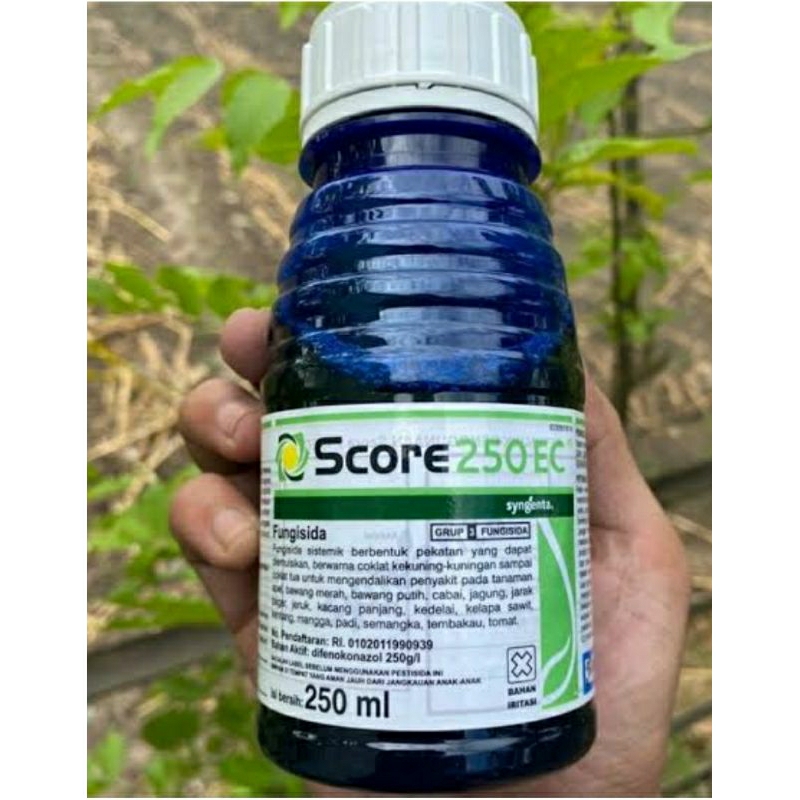 Jual score 250ml | Shopee Indonesia