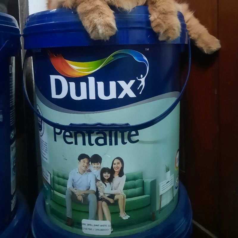 Jual Dulux Pentalite Brilliant White 20 Liter Shopee Indonesia 8370