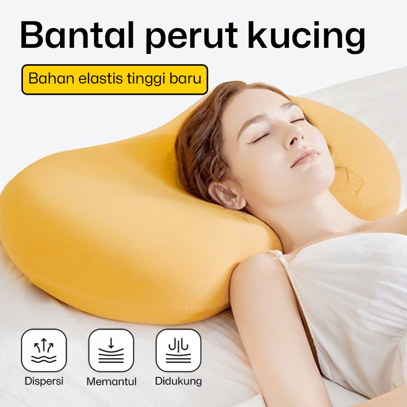 Jual Bantal Tulang Belakang Health Scoliosis Pillow Hip Bantal Ortopedi -  Kota Bekasi - Purvis Co