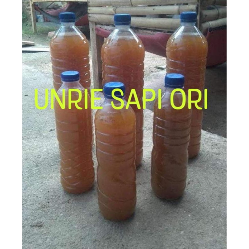 Jual urine sapi original belum fementasi 1,5.Liter | Shopee Indonesia