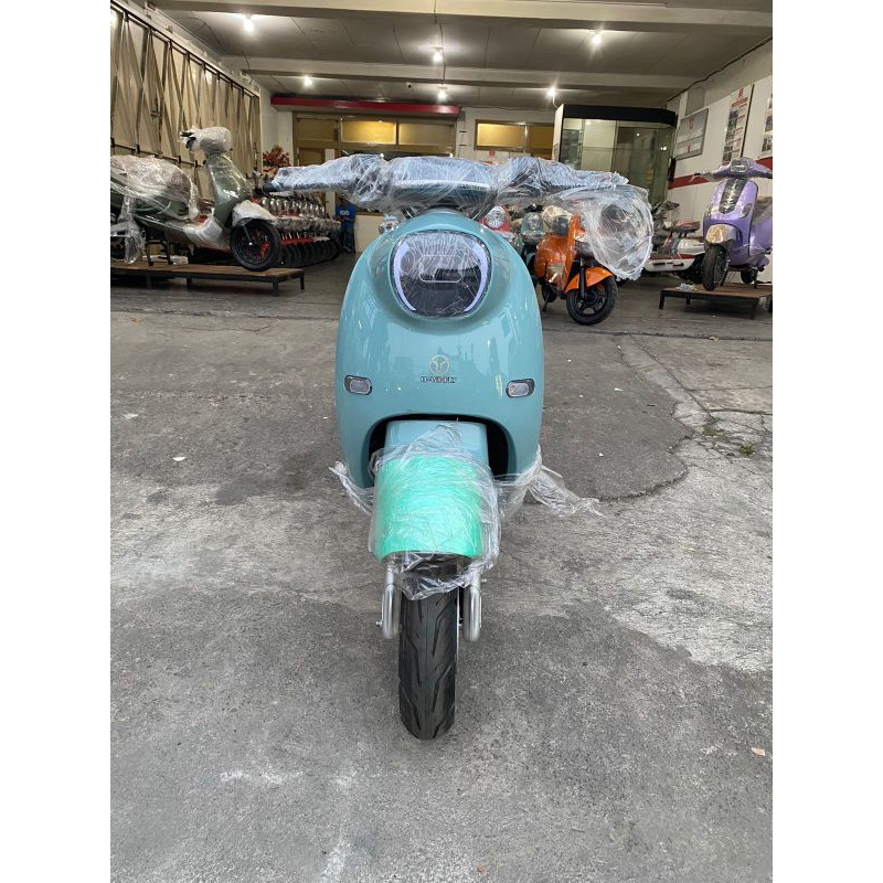 Jual GOLDEN TURTLE+ | Shopee Indonesia