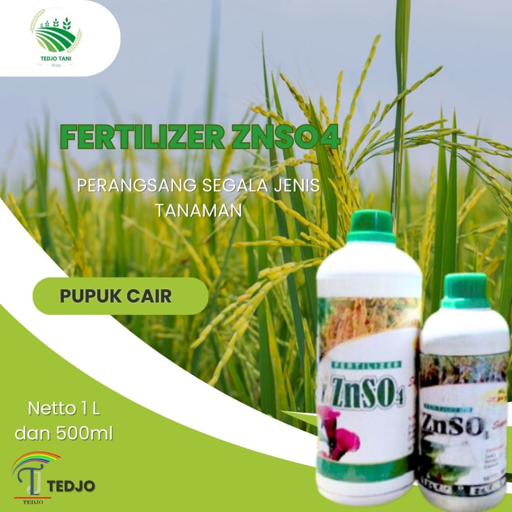 Jual Pupuk Tanaman Znso Cair Plus Zpt Zn Cair Mikro Zink Fertilizer