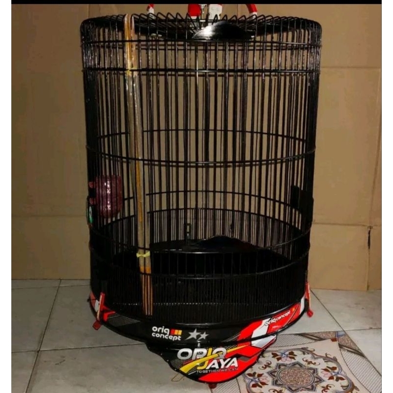 Haqiqiy odamlar bilan kop oyinchi porno oyini