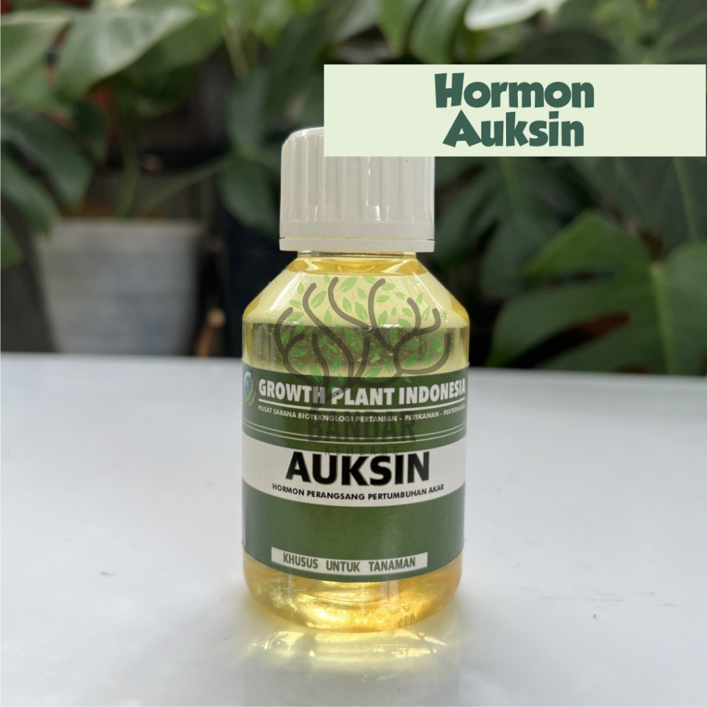 Jual Vitamin Hormon Pertumbuhan Akar Auksin 100 Ml Nutrisi Untuk Segala ...