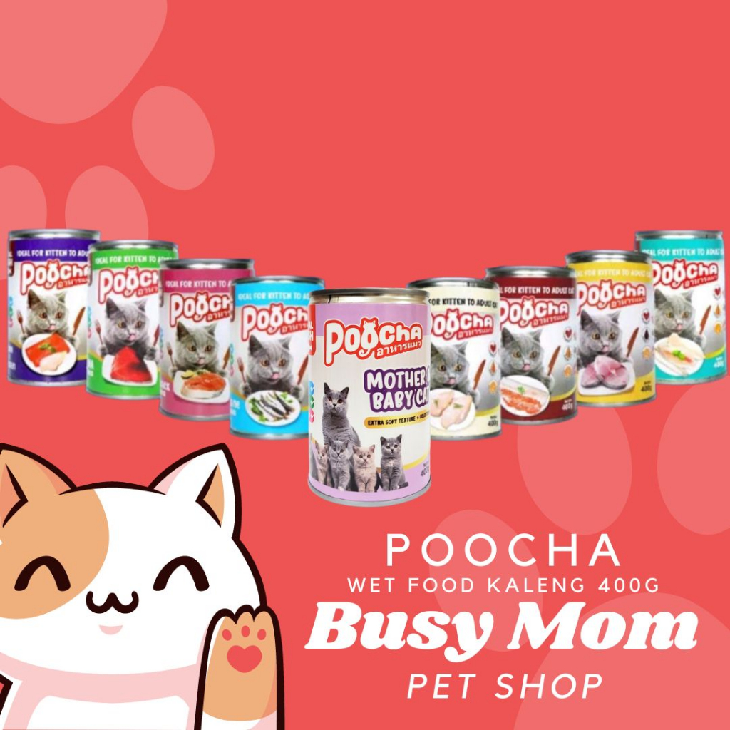 Jual Poocha Cat Food Kaleng Mother & Baby Cat Kitten Adult Pocha Wet ...