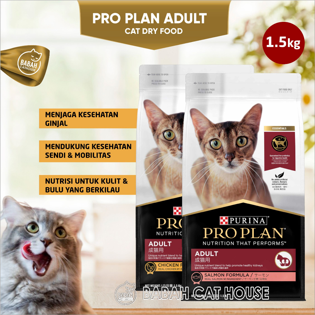 Jual Kg Pro Plan Adult Chicken Salmon Proplan Makanan Kering Kucing Dewasa Rasa Ayam Ikan