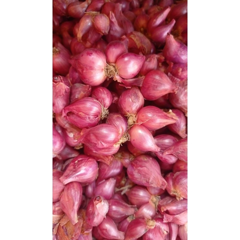 Jual Bawang Merah 1kg Super Shopee Indonesia