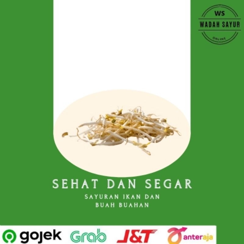 Jual Toge/Tauge Segar ( 250 Gram ) | Wadah Sayur Segar | Shopee Indonesia